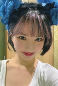迷二 dmm 特典卡