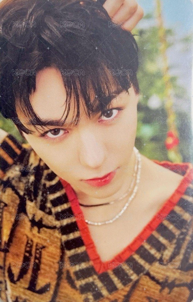 MINI11 專輯卡 ｜PM214 ver. 正面