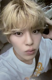 Songbird kms 3.0 v1 簽售卡 