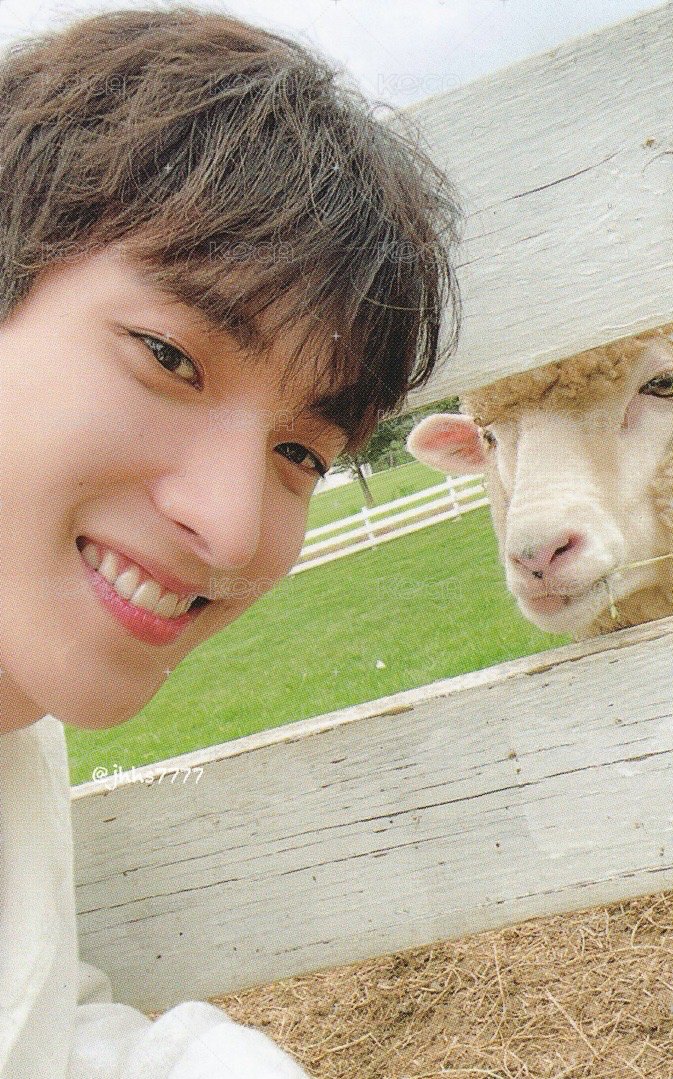 SOCIAL CLUB 周邊卡 ｜DA CAPO ver. 正面