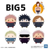 圓滾滾 ふわコロりんBIG 5