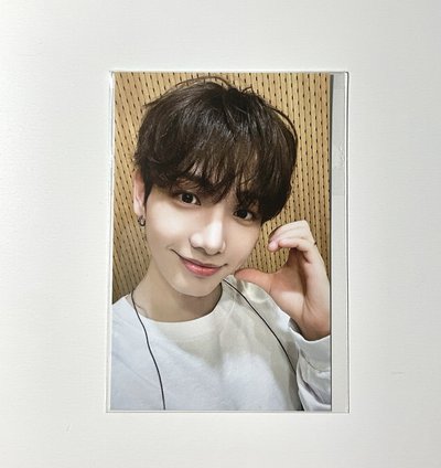 Wvs 快閃滿額卡 🐶&🐠