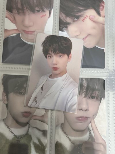 打歌卡 兔子筆 中背