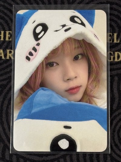 CURIOUS HL特典 小八Kotoko🦌