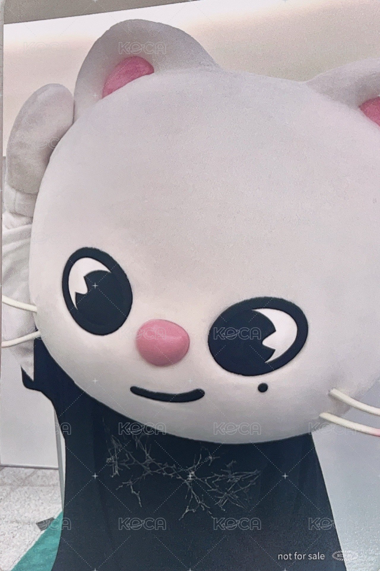 Hollow 塔店 特典卡 靜岡線上限定 背面