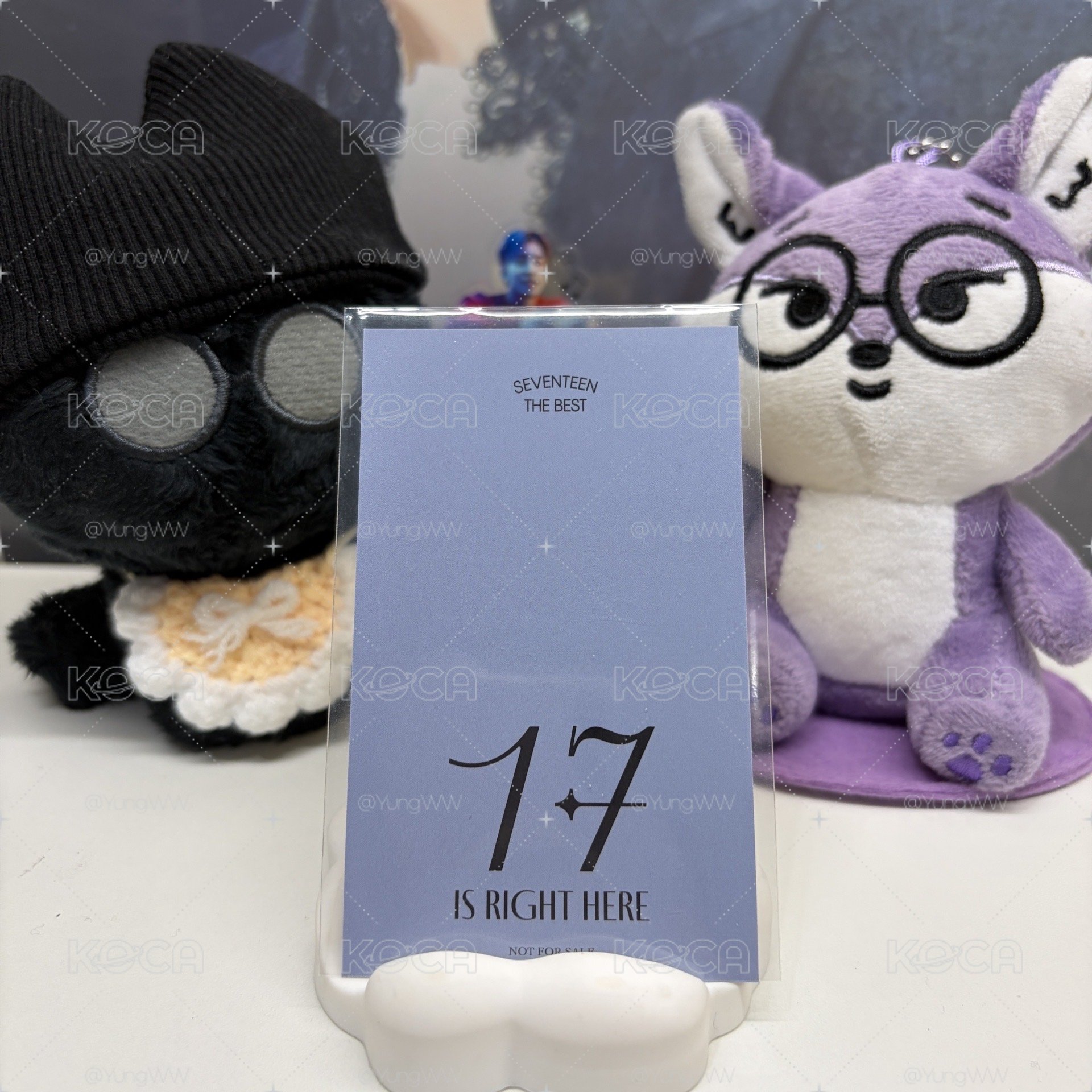 🐻‍❄️瀚率VERNON｜精選專｜環球｜特典卡 