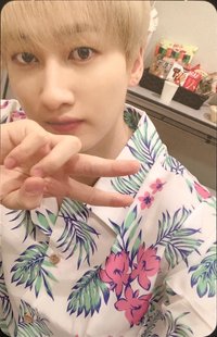 正規9 專輯卡 花襯衫赫