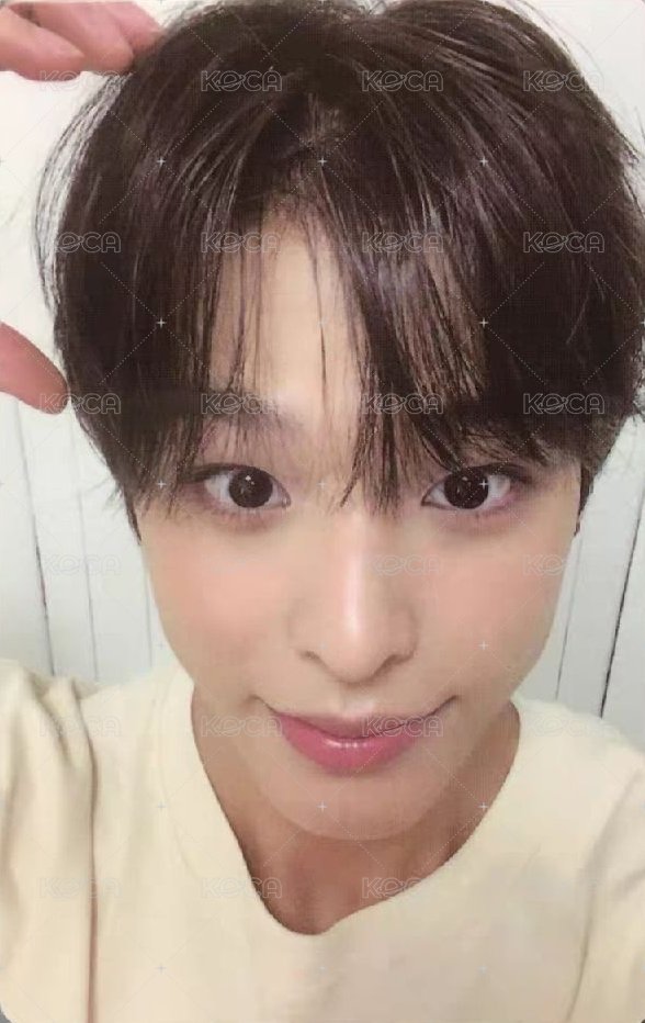 Steady kms 特典卡 早鳥 正面