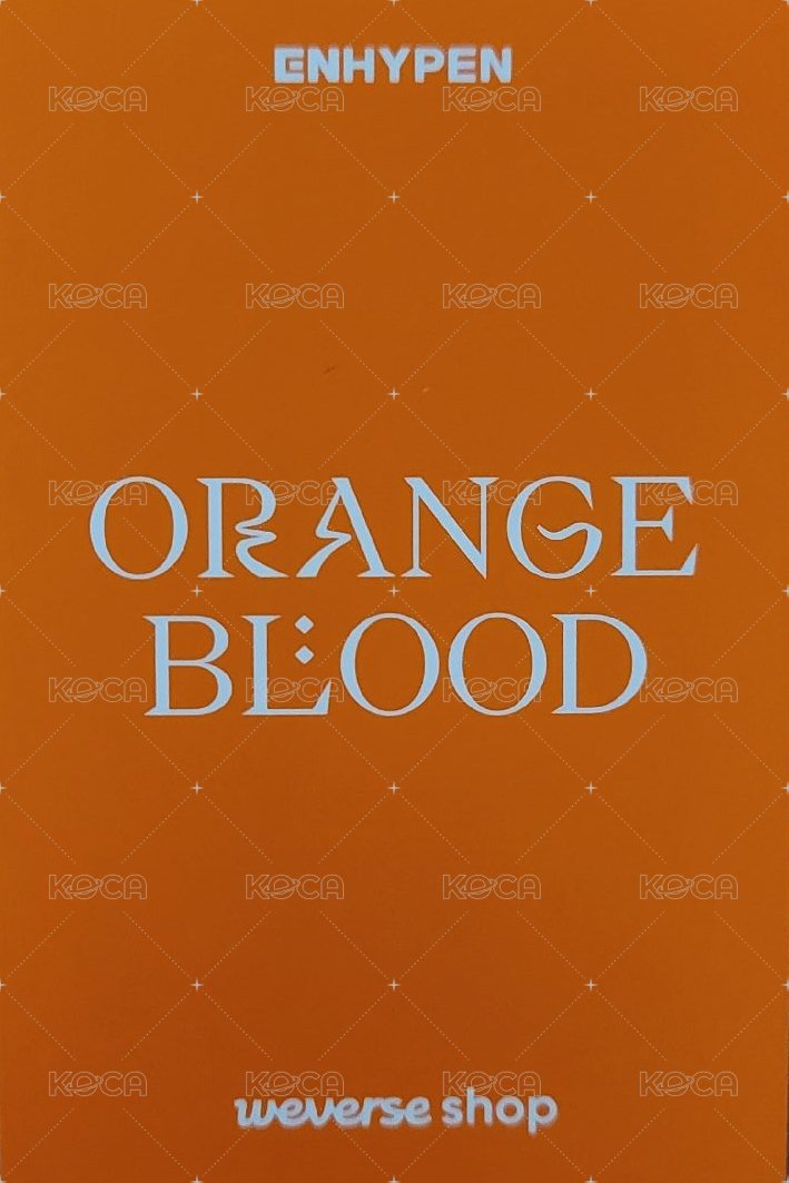 迷五 wvs 特典卡  背面