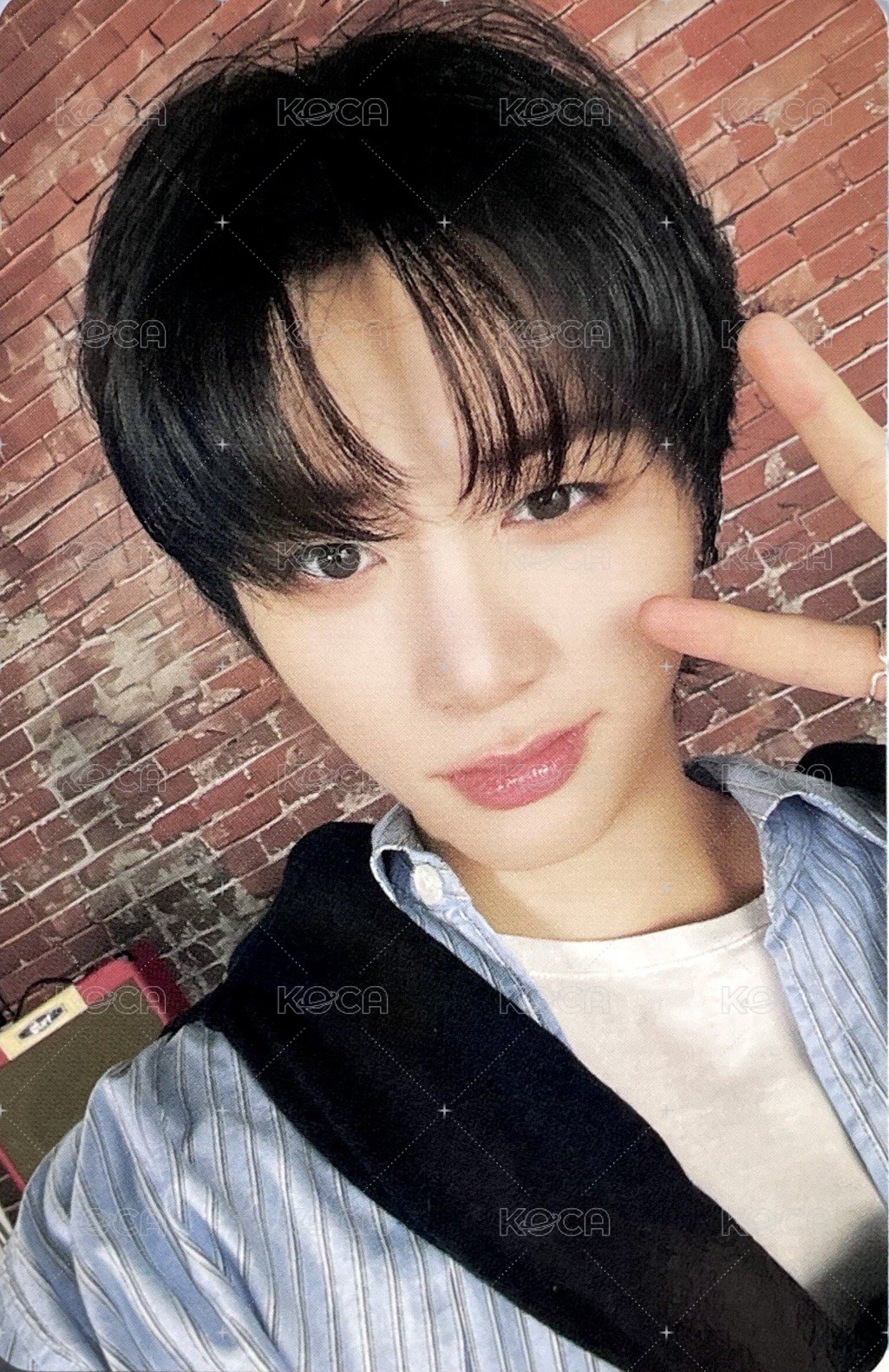 Knock On 巡迴 隨機卡 4 正面