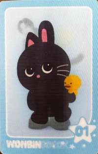 RIIZE Park 隨機卡 