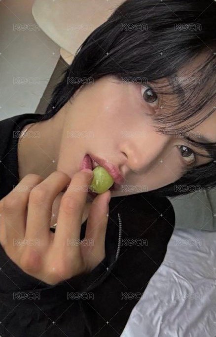 D社寫真 雜誌卡  正面