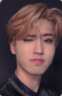 DICON D'FESTA 雜誌卡 