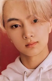 迷一 wvs 周邊卡 衣服卡