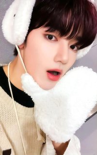 迷二 ms 特典卡 北極熊 ver.