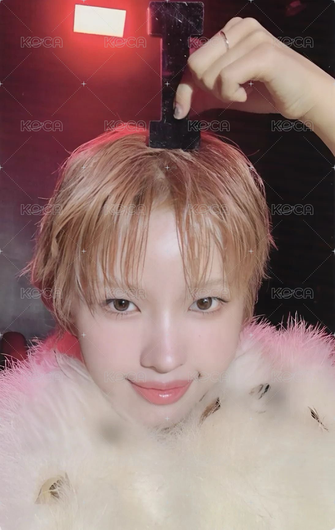 We are wvs 特典卡 迷八預售 娟 正面