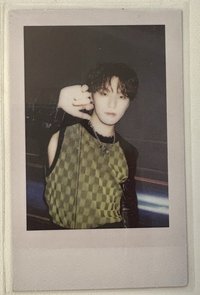 the name黑版拍立得 DINO