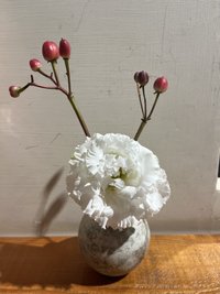 圓的汗毛