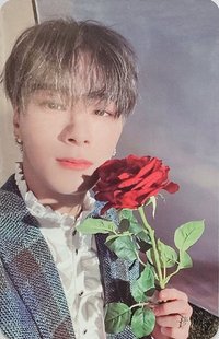 正三 新那拉 特典卡 