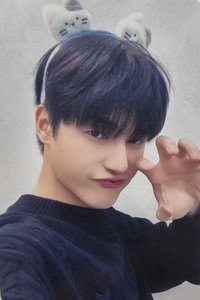 Will mokket 幸運卡 貓咪 ver.