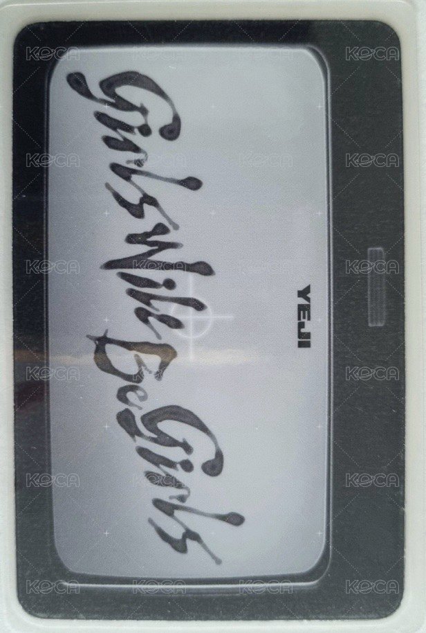 GWBG 專輯卡 PB ver. 數位相片 背面