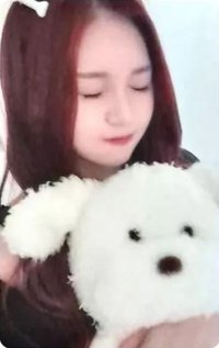 正一 hl 預購 狗狗 特典卡 