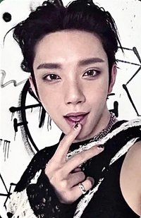 正五 專輯卡 正規五｜CARAT ver.