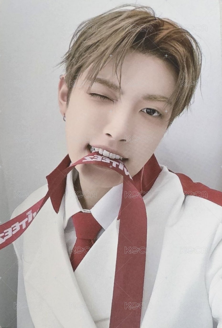 ANITEEZ IN THE CALLING 周邊卡 HOODIE 正面