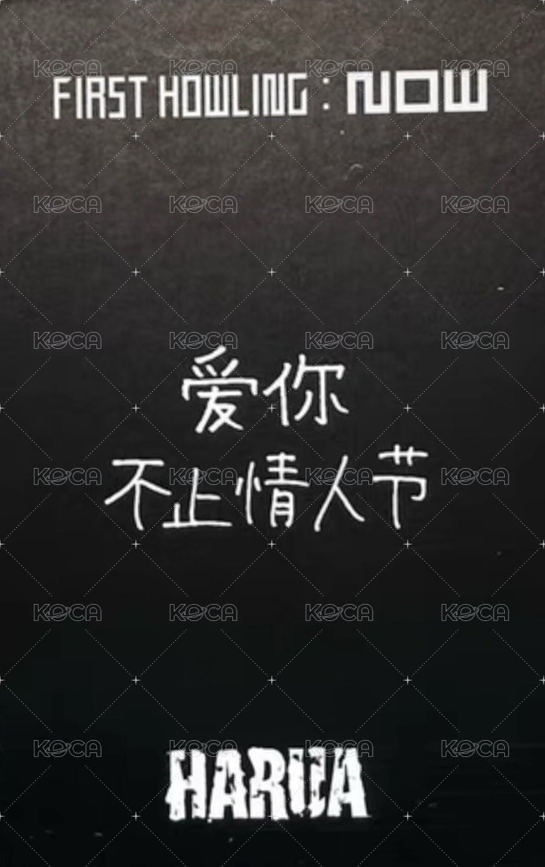 First Howling : NOW yzy 2.0 簽售卡 情人節 中文卡背 背面