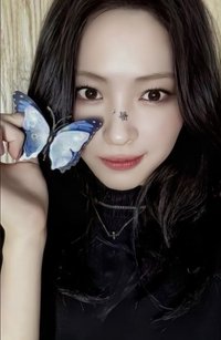 GOLD ms 6.0 簽售卡 蝴蝶