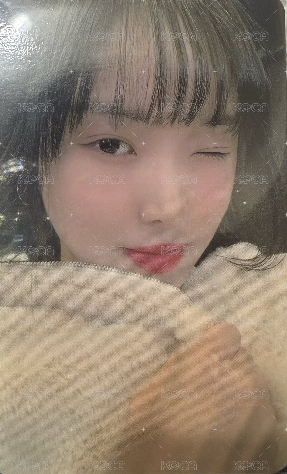 6週年 wvs 周邊卡  正面