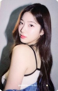 ANTIFRAGILE k4 預售 特典卡 透卡