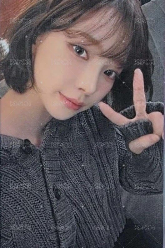 日本fm 周邊卡 卡套柚 正面