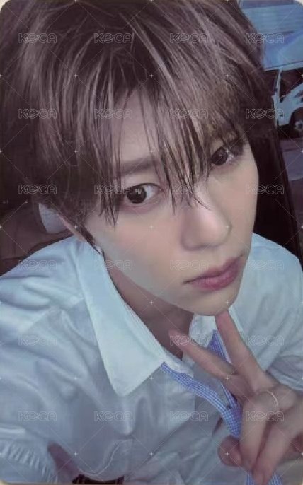 Steady kms 特典卡 早鳥卡 正面