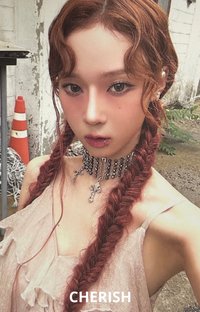 Drama walmart 專輯卡 沃爾瑪冬