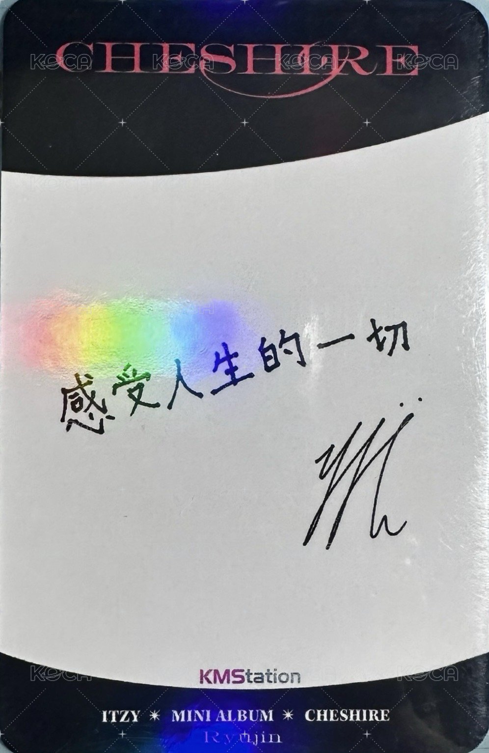 CHESHIRE kms 預售 特典卡  背面