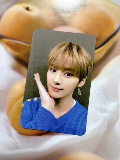 黃木 台灣版 專卡旻