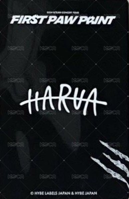 FPP 隨機卡 -6 背面