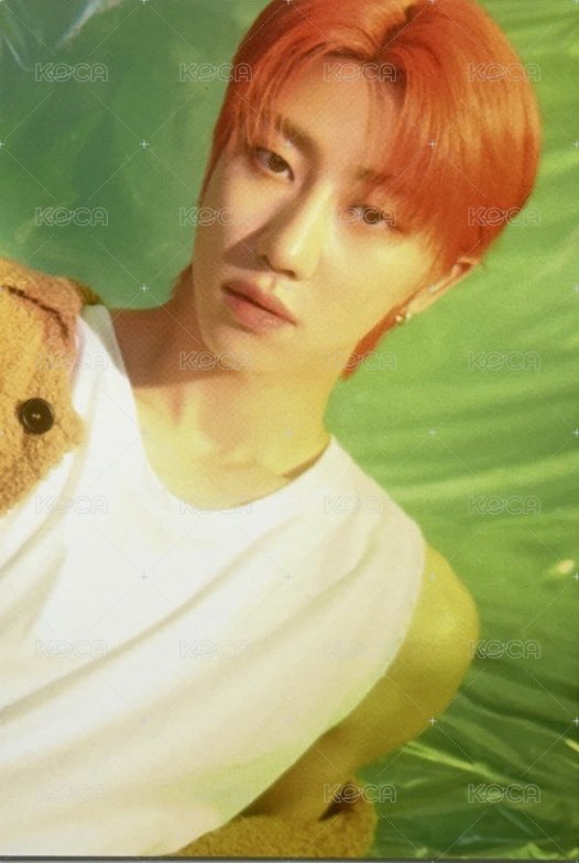 23’博物館 周邊卡 大卡組 正面