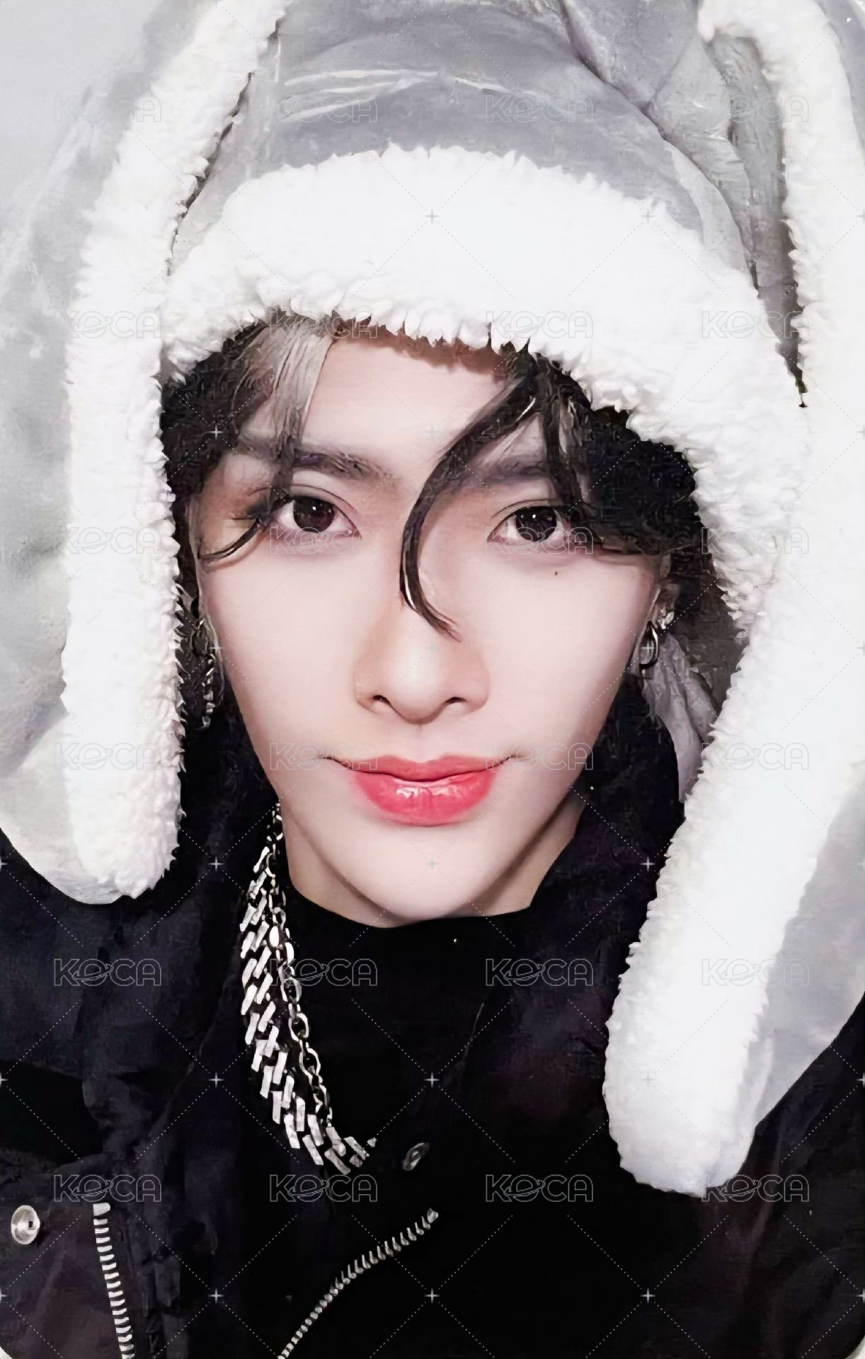 迷二 ms 特典卡 兔毯 ver. 正面