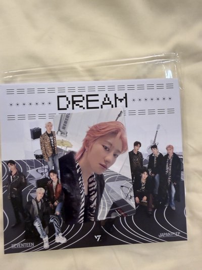 SVT 日專 Dream 全專