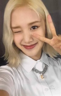 STEREOTYPE am 4.0 簽售卡 