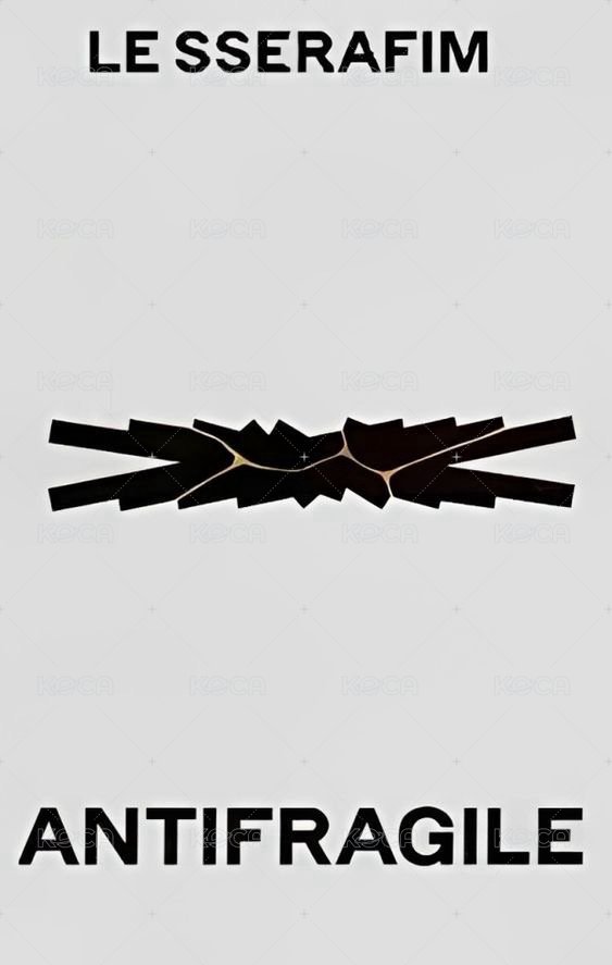 ANTIFRAGILE km蝦皮 1.0 簽售卡  背面