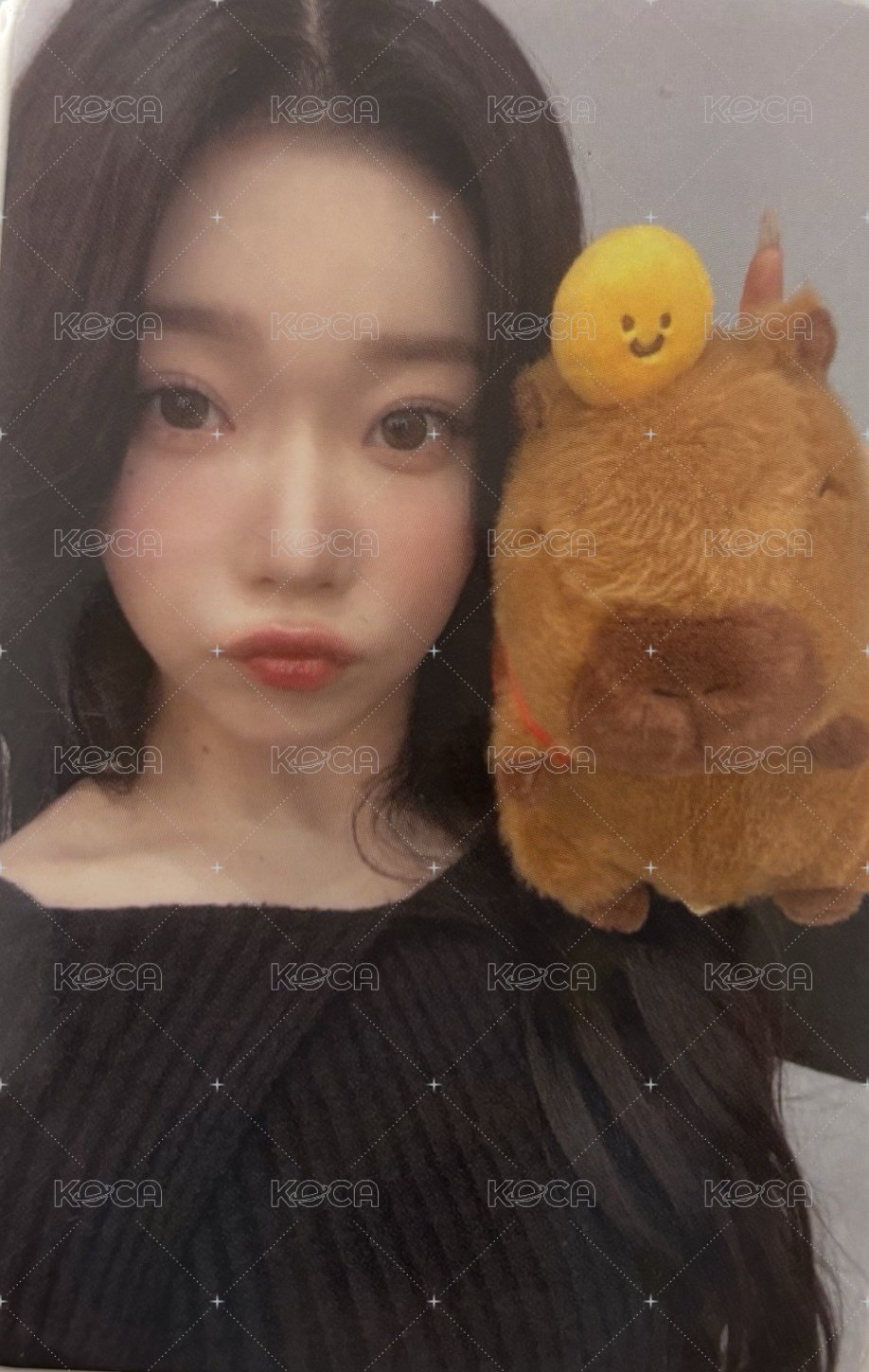 appendix: Of All We Have Lost ms 台北線下 簽售卡 卡皮巴拉ver. 正面