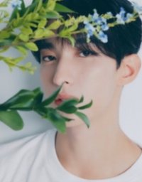 精選專 專輯 克拉盤 DK封
