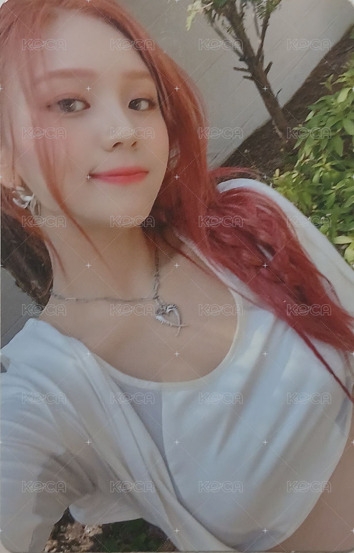 迷二 專輯卡 藍版 正面