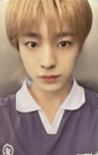 24fm 周邊卡 T恤卡