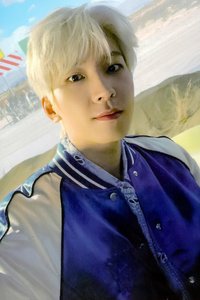 正四 專輯卡 正規四｜CARAT ver.