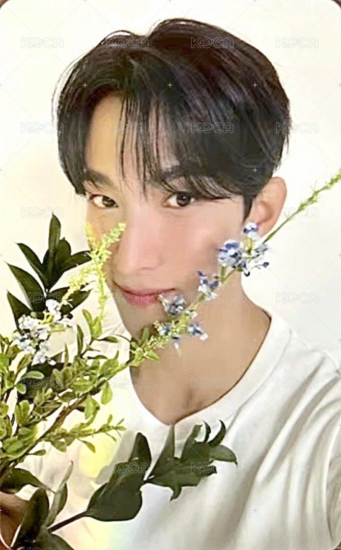 精選專 專輯卡 精選輯｜CARAT ver. 正面