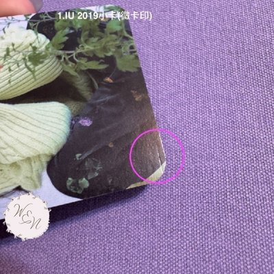 IU 李知恩 2019 年曆小卡（有廠損）